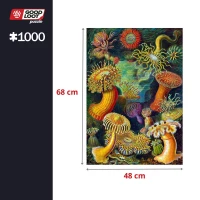3. Imagination: Puzzle Ernst Haeckel: Sea Anemones Stworzenia Morskie (1000 elementów)